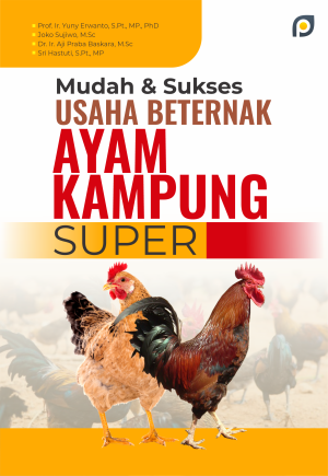 MUDAH & SUKSES USAHA BETERNAK AYAM KAMPUNG SUPER